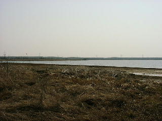 ウトナイ湖（イソシギの小径側から）